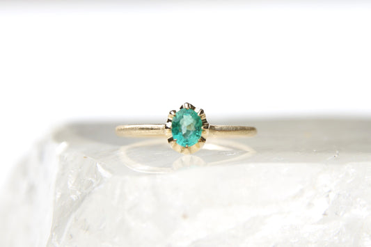 5月20日(土)つくば蚤の市 に出店させて頂きます