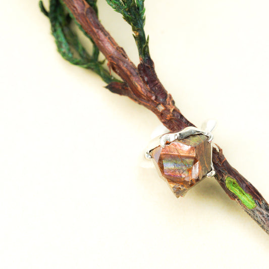 847 イヤカフ / レインボーガーネット