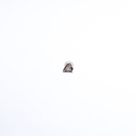 867 ピアス / ダイアスポア