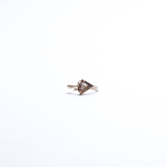 862 Ear Cuff / Diaspore